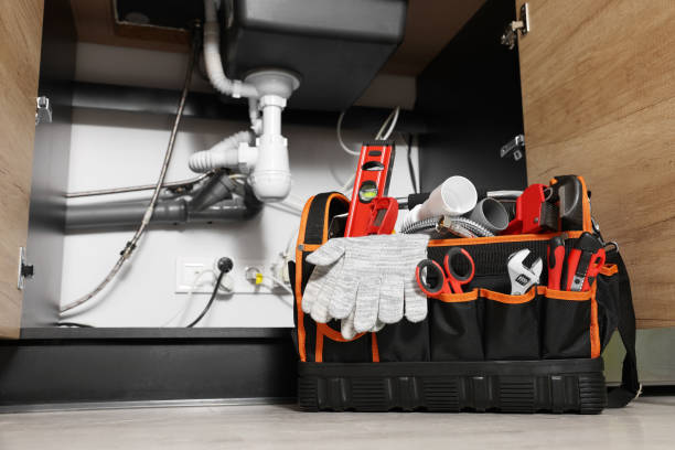 Best Plumbing Services Near Me  in Breckenridge, MI