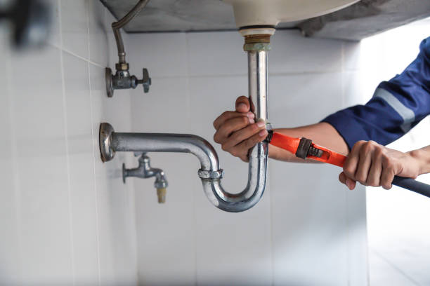 Best Leak Detection Services  in Breckenridge, MI