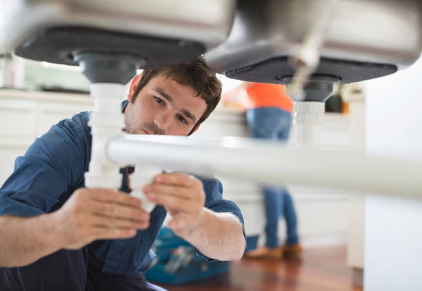 Best Plumbing Services Near Me  in Breckenridge, MI