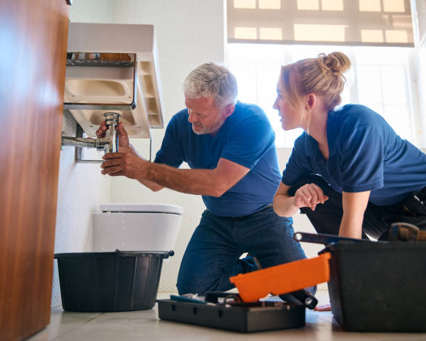 Best Sprinkler Systems  in Breckenridge, MI